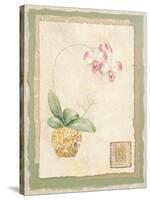 Orchid I-Pamela Gladding-Stretched Canvas