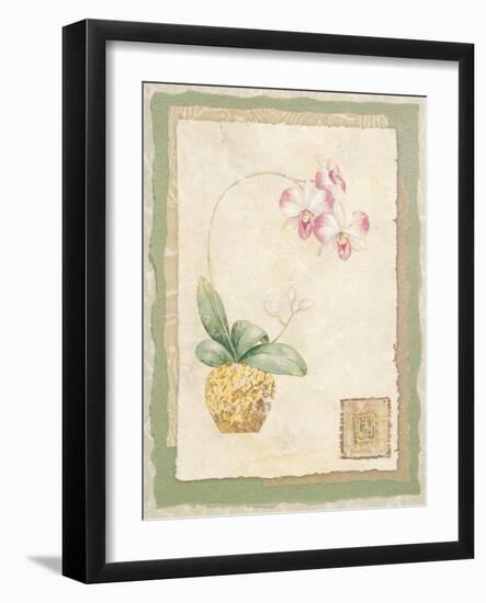 Orchid I-Pamela Gladding-Framed Art Print