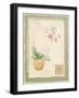 Orchid I-Pamela Gladding-Framed Art Print