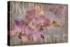 Orchid I-Cora Niele-Stretched Canvas