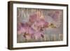 Orchid I-Cora Niele-Framed Giclee Print