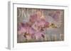 Orchid I-Cora Niele-Framed Giclee Print