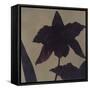 Orchid II-Robert Charon-Framed Stretched Canvas