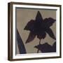 Orchid II-Robert Charon-Framed Art Print