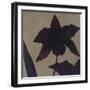 Orchid II-Robert Charon-Framed Art Print