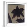 Orchid II-Robert Charon-Framed Art Print