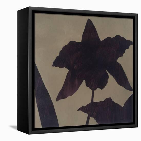 Orchid II-Robert Charon-Framed Stretched Canvas