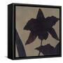 Orchid II-Robert Charon-Framed Stretched Canvas