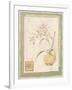 Orchid II-Pamela Gladding-Framed Art Print