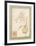 Orchid II-Pamela Gladding-Framed Art Print