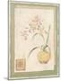 Orchid II-Pamela Gladding-Mounted Art Print