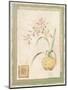 Orchid II-Pamela Gladding-Mounted Premium Giclee Print