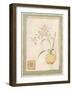 Orchid II-Pamela Gladding-Framed Art Print