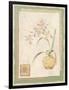 Orchid II-Pamela Gladding-Framed Art Print