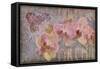 Orchid II-Cora Niele-Framed Stretched Canvas