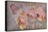 Orchid II-Cora Niele-Stretched Canvas