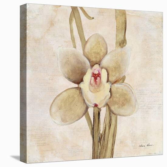 Orchid II-Cheri Blum-Stretched Canvas