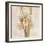 Orchid II-Cheri Blum-Framed Art Print