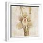 Orchid II-Cheri Blum-Framed Art Print