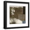 Orchid III-Rick Novak-Framed Art Print