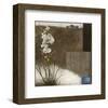 Orchid III-Rick Novak-Framed Art Print