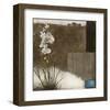 Orchid III-Rick Novak-Framed Art Print