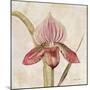 Orchid III-Cheri Blum-Mounted Art Print