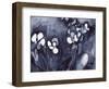 Orchid in Indigo, C.2017 (Watercolor on Paper)-Janel Bragg-Framed Giclee Print