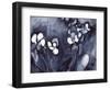 Orchid in Indigo, C.2017 (Watercolor on Paper)-Janel Bragg-Framed Giclee Print