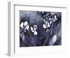 Orchid in Indigo, C.2017 (Watercolor on Paper)-Janel Bragg-Framed Giclee Print