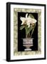 Orchid in Urn I-Deborah Bookman-Framed Art Print