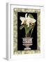 Orchid in Urn I-Deborah Bookman-Framed Art Print