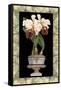 Orchid in Urn II-Deborah Bookman-Framed Stretched Canvas