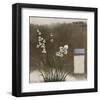 Orchid IV-Rick Novak-Framed Art Print