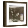 Orchid IV-Rick Novak-Framed Art Print
