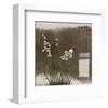 Orchid IV-Rick Novak-Framed Art Print