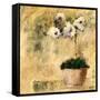 Orchid IV-Bagnato Judi-Framed Stretched Canvas