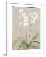 Orchid Light-Cheri Blum-Framed Art Print