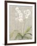 Orchid Light-Cheri Blum-Framed Art Print