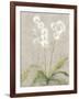 Orchid Light-Cheri Blum-Framed Art Print