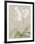 Orchid Light-Cheri Blum-Framed Art Print