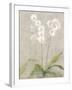 Orchid Light-Cheri Blum-Framed Art Print