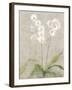 Orchid Light-Cheri Blum-Framed Art Print