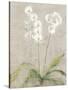 Orchid Light-Cheri Blum-Stretched Canvas