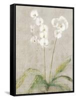 Orchid Light-Cheri Blum-Framed Stretched Canvas