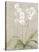 Orchid Light-Cheri Blum-Stretched Canvas