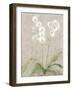 Orchid Light-Cheri Blum-Framed Art Print