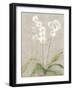 Orchid Light-Cheri Blum-Framed Art Print