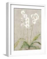 Orchid Light-Cheri Blum-Framed Art Print