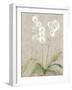 Orchid Light-Cheri Blum-Framed Art Print